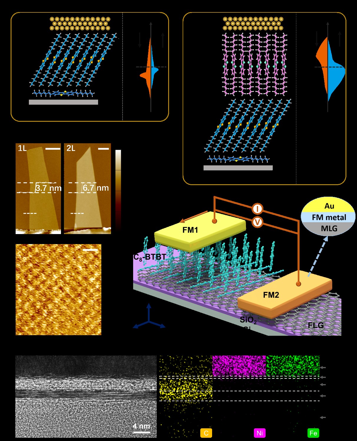 [Striving for a New Journey]NJUPT Publishes in Science Advances